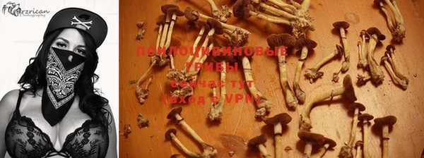 героин Алексин