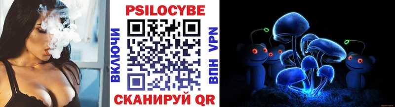 kraken как зайти  наркота  Островной  Псилоцибиновые грибы Magic Shrooms 